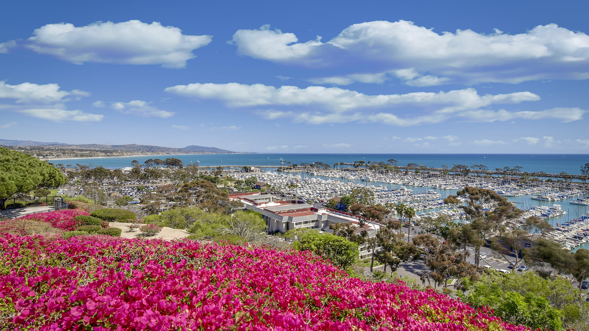 Altamar Real Estate, Dana Point Real Estate Experts